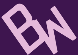 Bryce's Website Logo